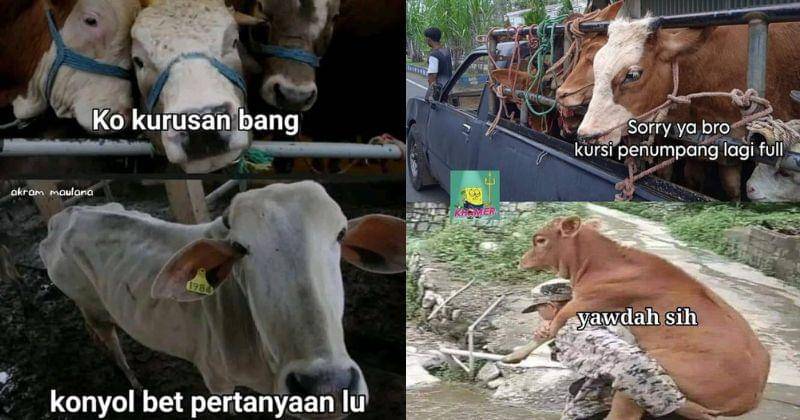 x.com/riraen/jenopawcat